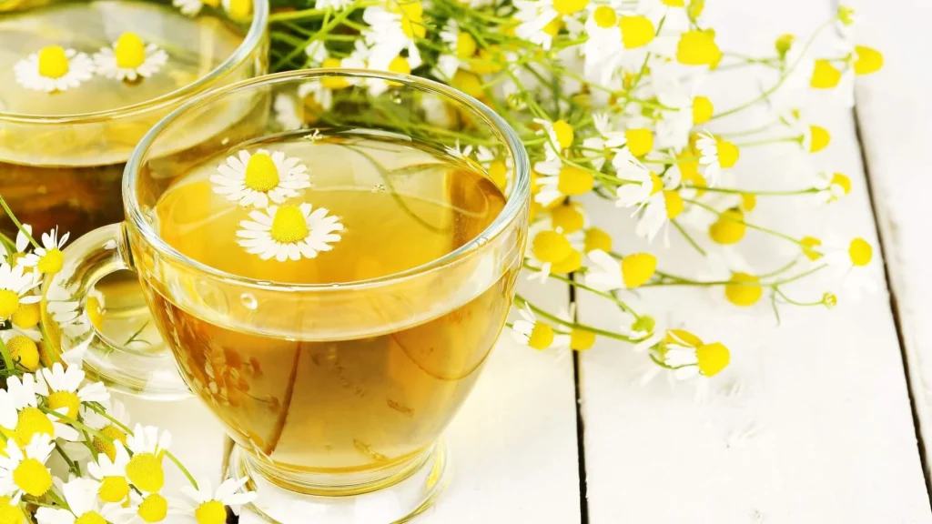 Çaji i kamomilit – pije qetësuese dhe shëruese natyrale