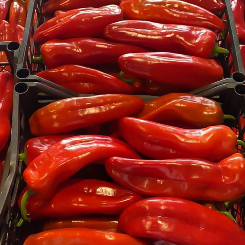 Specat – perime plot ngjyrë dhe vitaminë c