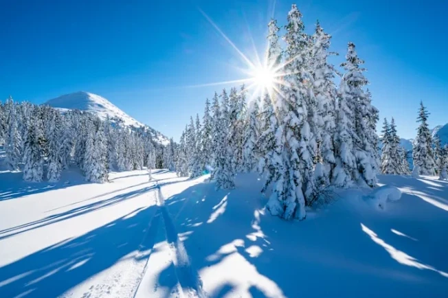A e dinit se sulmet në zemër janë më të shpeshta gjatë dimrit