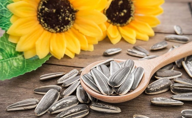 Dobitë për organizmin nga farat e lulediellit