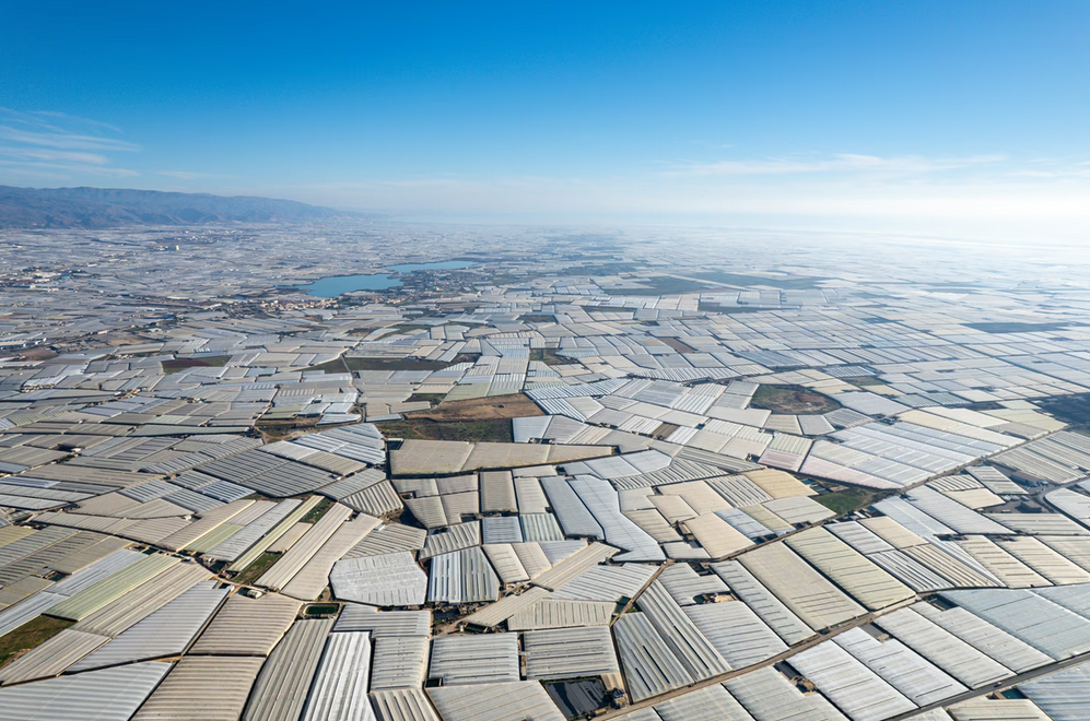 “Deti i plastikës” në Spanjë: zona që shihet edhe nga hapësira