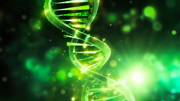 Gjenet mund të përcaktojnë deri në 50% të jetëgjatësisë së njeriut